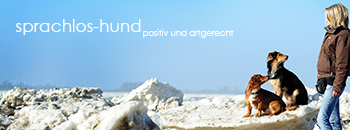 sprachloshundNicoleMannstein1